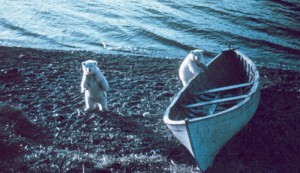 Noaa-polar5