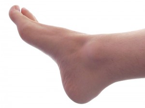 Foot