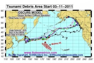 Tsunami Debris