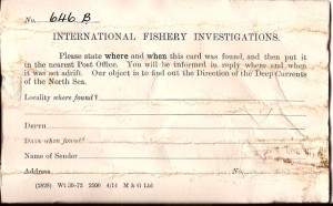 internationalfisheries