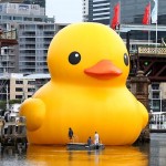 279010-130104-rubber-duck-1