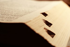 Dictionaryindents Dictionary New Words