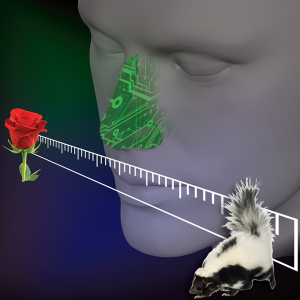 Electronic Nose The Electronic Nose