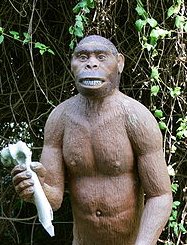 4586421789_d49121b962_o