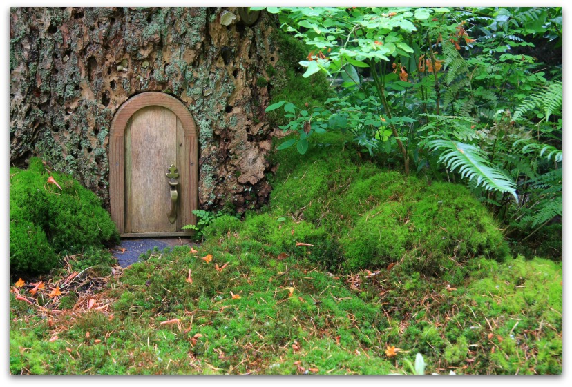 Pixie Door