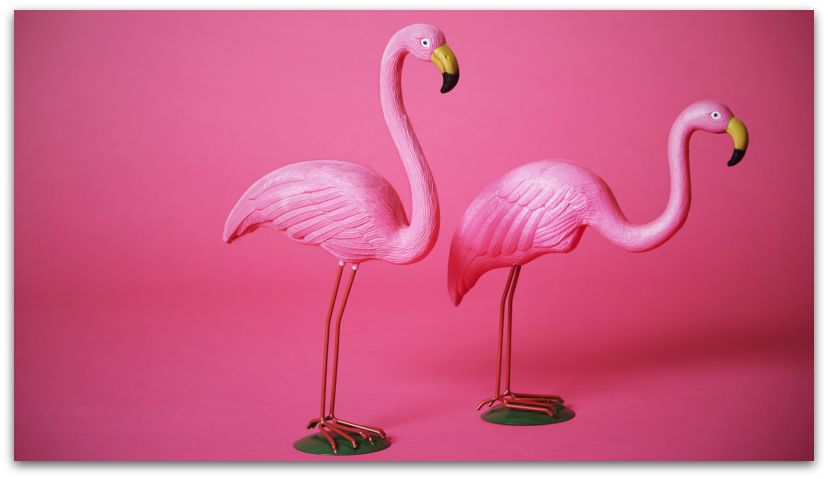 RIP Creator of Pink Flamingo