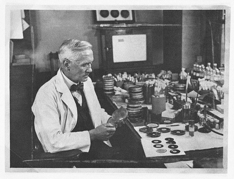 Professor Fleming working in his laboratory, 1943.