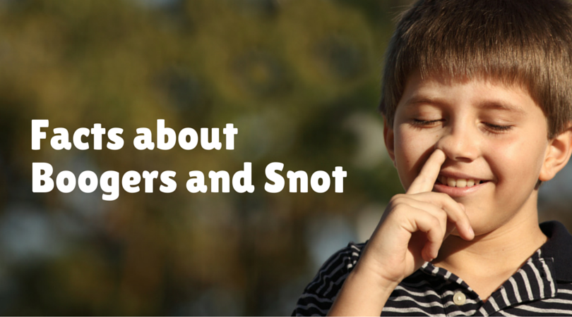 Facts about boogers and snots