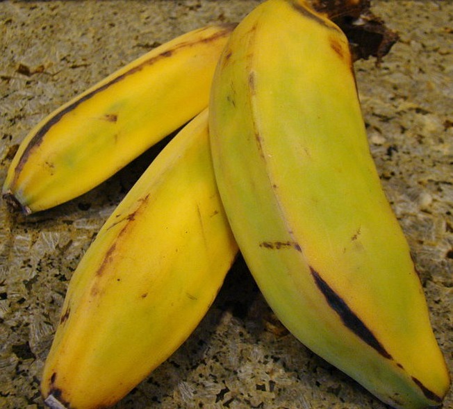 Food Facts and Trivia: Burro Bananas