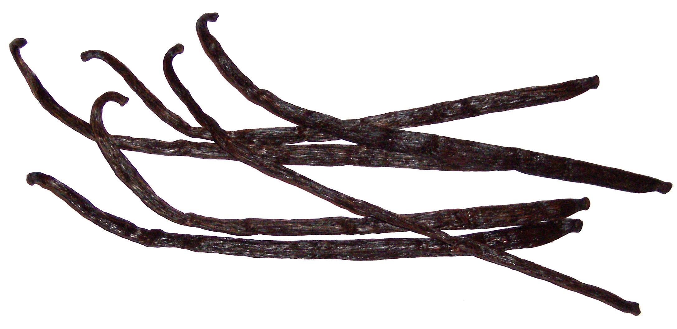 the story of vanilla, and other herbs and spices