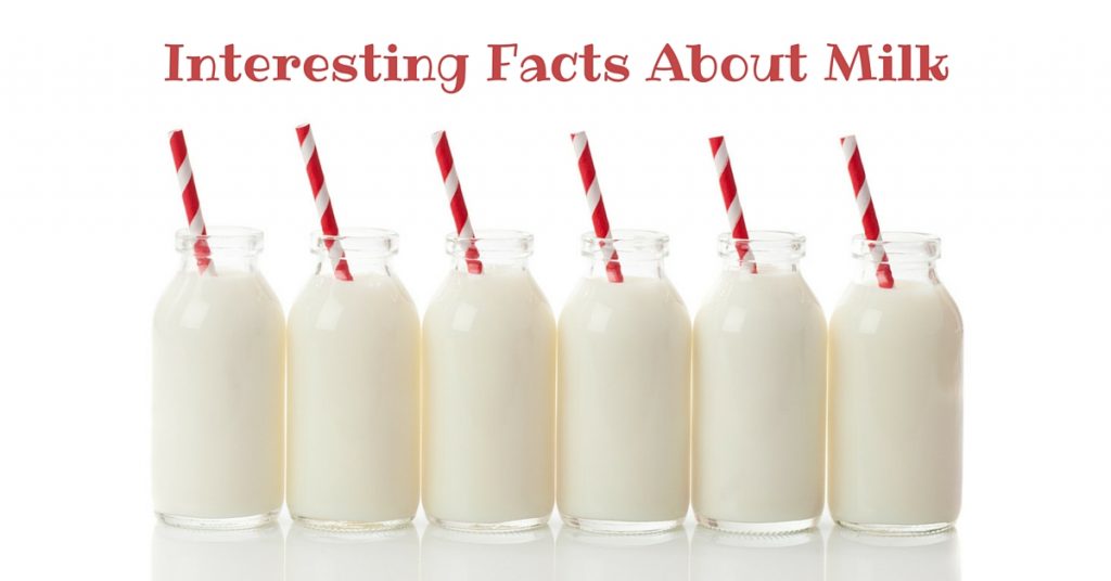 Interesting Facts About Milk