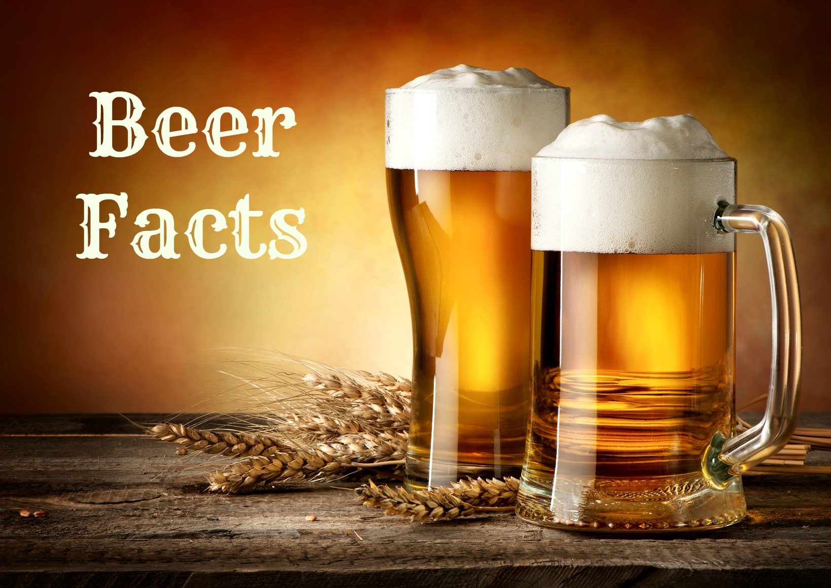 10 Beer Facts!